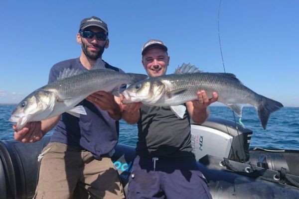 Pesca al traino della spigola: tecniche e divertimenti per il successo