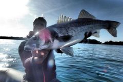 Pesca al branzino