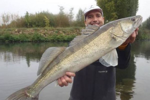 Pesca al lucioperca nel fiume