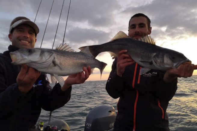 Le varie attivit e le sottigliezze della pesca alla spigola lineare