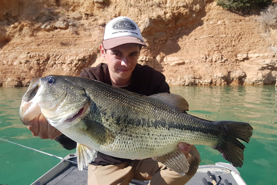Black-bass, ottenere la giusta animazione per la pesca di minnow jerkbait minnow!