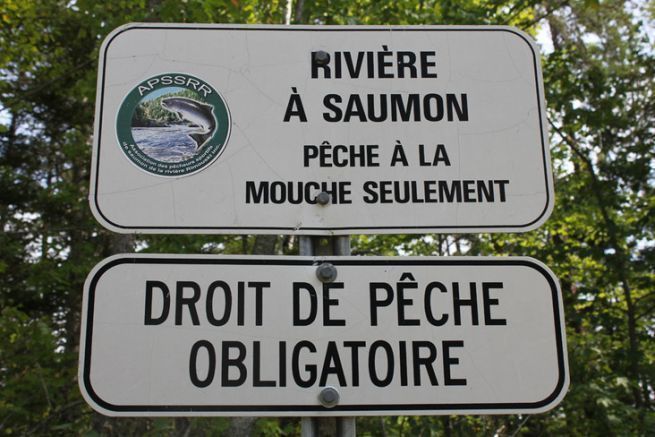 Quebec, un regolamento al servizio dei pescatori e del salmone atlantico