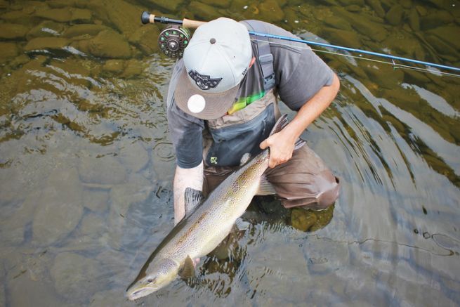 Mosche Da Pesca Al Salmone Maria Pelosa – 3 Pezzi, Gancio Singolo, Taglie A Scelta
