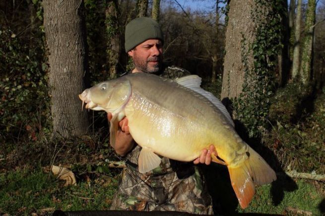 Pesca alla carpa: ritorno alla pesca veloce con il bastone in inverno