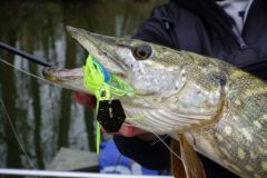 Il bladed jig, un'esca efficace per la pesca ai predatori