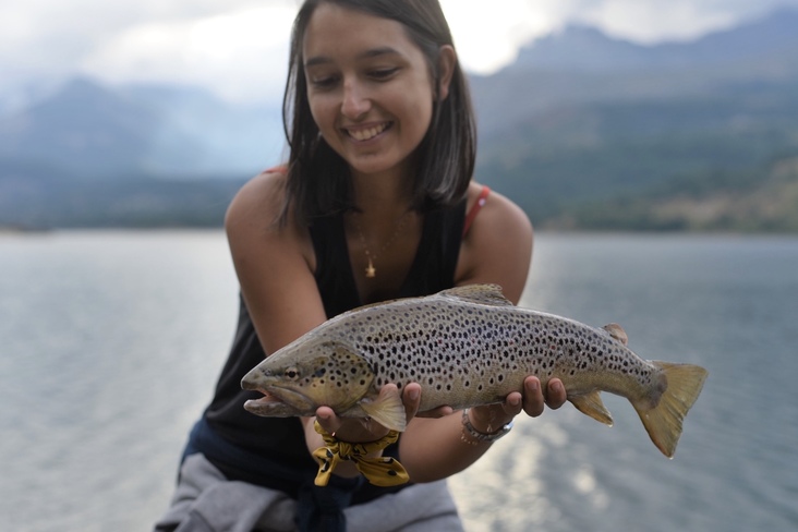 Come affrontare la pesca alla trota con esche artificiali nei bacini artificiali?