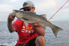 Il branzino, un pesce che si trova in abbondanza in riva al mare.