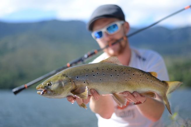 Grub o curly: provateli per la pesca alla trota nei bacini artificiali!