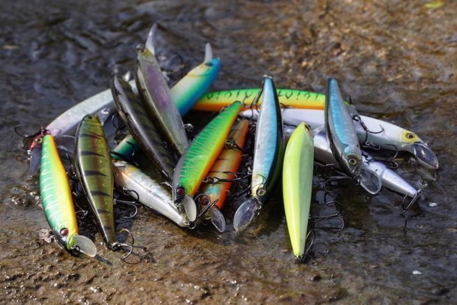 Come scegliere il colore dei vostri jerkbait minnows per la pesca al luccio?