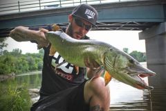 Il mio primo muskellunge di grandi dimensioni pescato in Quebec.