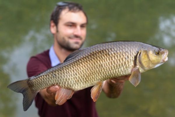 Pesca a vista: prendetevi il tempo di analizzare per massimizzare le vostre possibilit di successo!