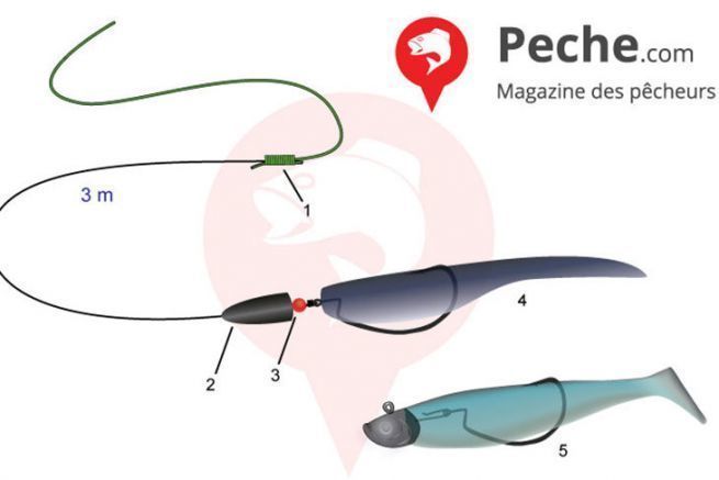 Attrezzatura texana per la pesca all'oldsquaw