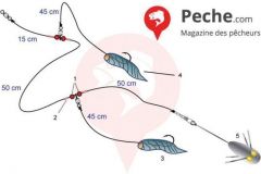 Surfcasting per skate