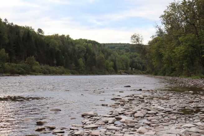 Pesca a mosca al salmone, identificazione delle pozze e del comportamento dei pesci al loro interno