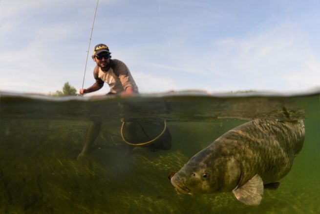 Fotografia a mezz'aria e a mezz'acqua, principi e attrezzature per foto di pesca di successo