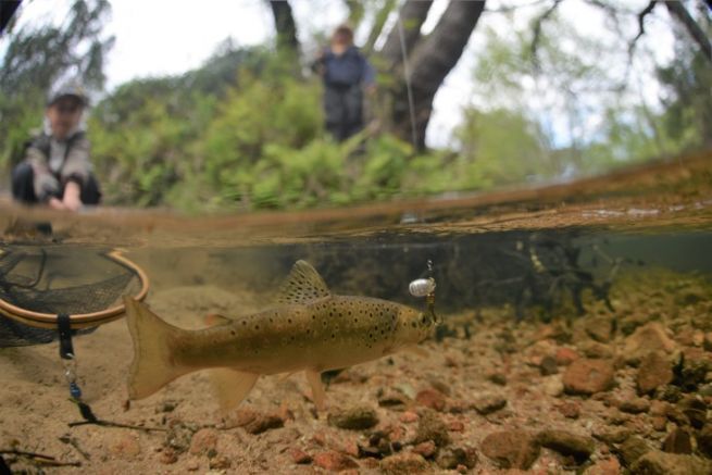 Fotografia a mezz'aria e a mezz'acqua, i parametri da gestire per foto di pesca di successo