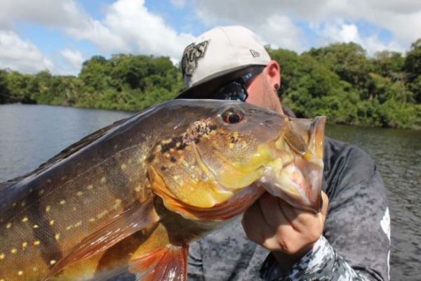 Pesca del pavone in Brasile: un pesce sportivo per eccellenza!