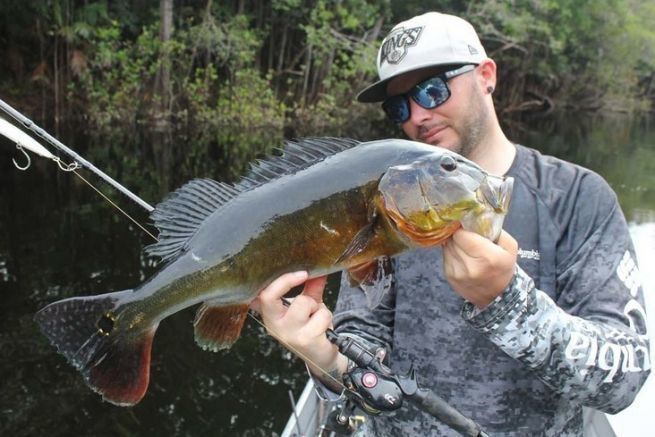 Attrezzatura per la pesca del pavone in Amazzonia