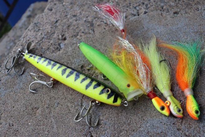 3 esche leggendarie per la pesca al pavone in Amazzonia!