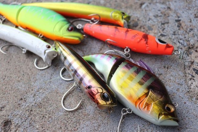 3 esche da provare durante il vostro viaggio alla ricerca del peacock bass