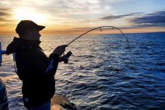 Pesca verticale al largo dell'isola di Batz
