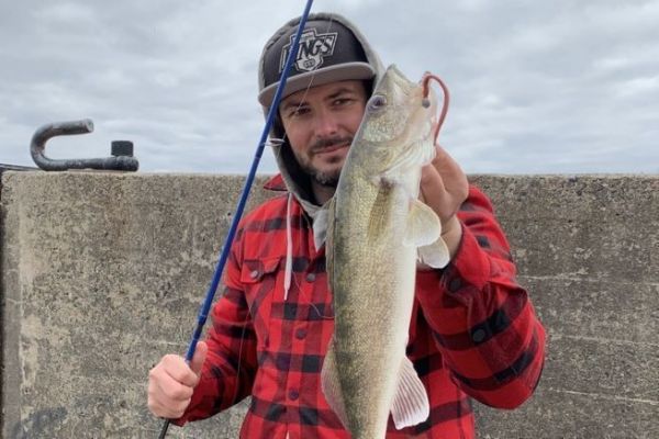 Pesca verticale: 3 tipi di esche morbide da considerare per il luccioperca