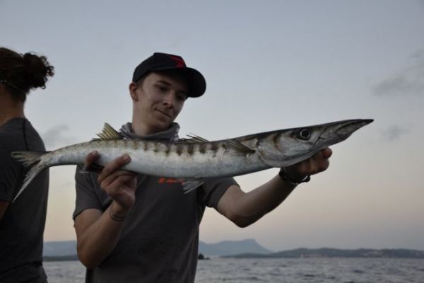 La pesca del barracuda dalla barca, una tecnica che viene praticata in modo diverso a seconda della stagione