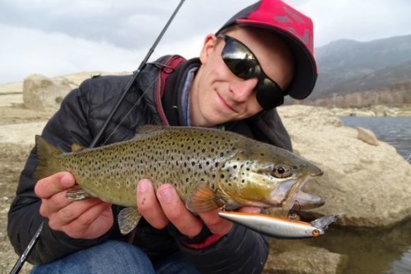 Pesca alla trota con jerkbait affondante