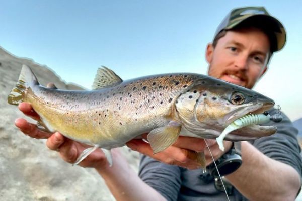 Pesca alla trota con esche artificiali morbide, comprensione e successo delle animazioni