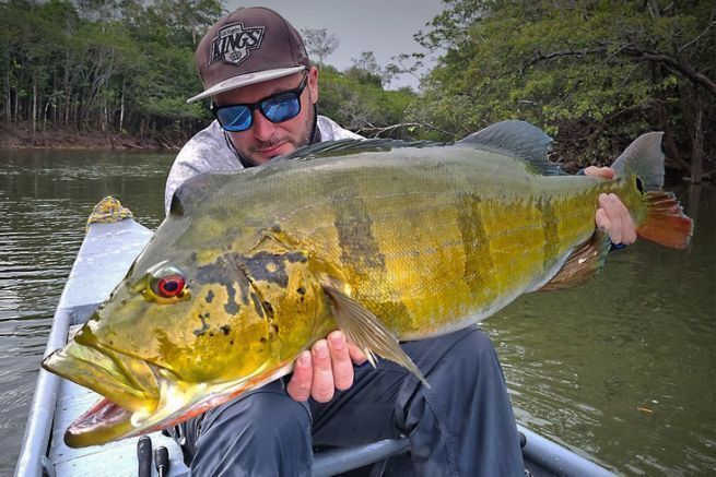 Pesca al peacock bass in Colombia: giorno 6, il dominio dei minnow jerkbait
