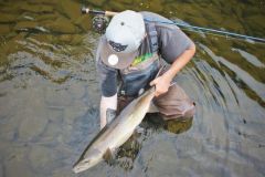 5 specie di pesci da scoprire durante un soggiorno in Québec!
