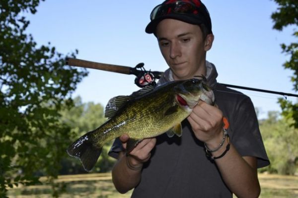 Pesca a vista efficace per il black bass durante l'estate
