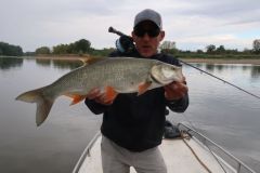 La pesca a mosca dell'aspio  una vera sfida, ma ne vale la pena