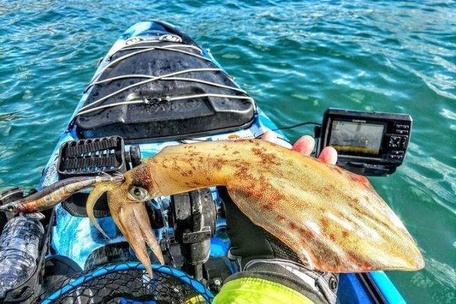 Pesca dei cefalopodi in kayak