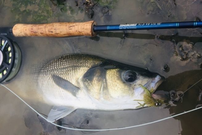 La pesca a mosca, una pesca tecnica e appassionante