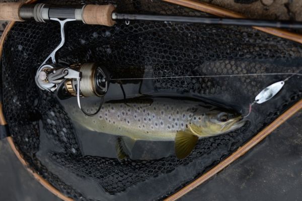 Scegliere il giusto rapporto di bobina per la pesca con esche