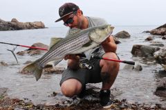 La lumaca, una delle mie migliori esche per la pesca al branzino.