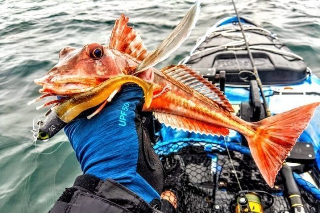 Pesca in inverno, il periodo delle grandi catture in mare