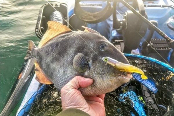 Pesca invernale in kayak