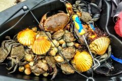 Battuta di pesca in riva al mare