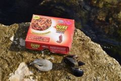 Pesca con esche in mare, i nostri consigli per catturare i pesci