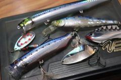 La pesca con esche artificiali  efficace per la sardina.