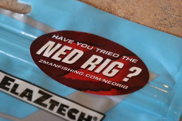 Ned Rig, una tecnica di pesca con esche artificiali molto diffusa!