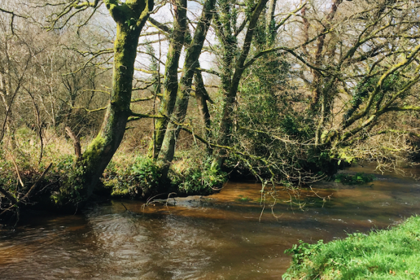 La mia apertura di pesca a mosca in Bretagna