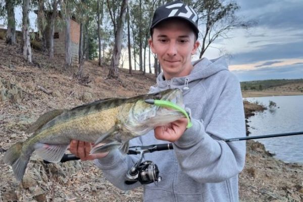 Attrezzatura per la pesca lineare del luccioperca da riva