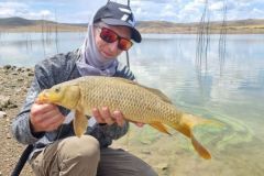 Pesca a mosca della carpa