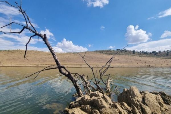 Il lago Serena, osservazioni sulla popolazione ittica