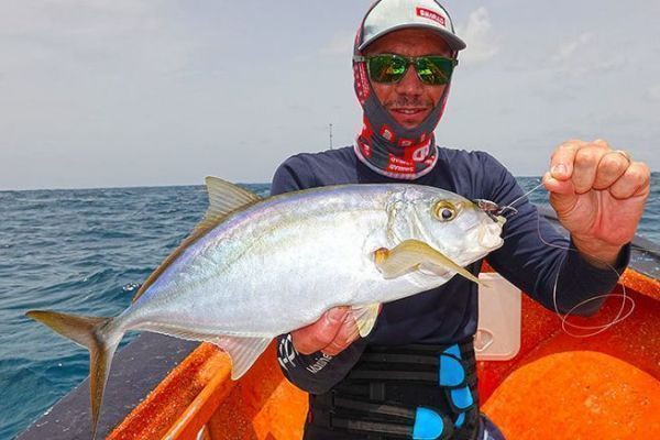 Un piccolo carangue grasso conosciuto come carangue giallo