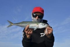 Pesca allo sgombro con esche artificiali nel Mediterraneo Pesca dello sgombro