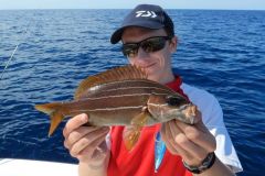 Preparazione della battuta di pesca